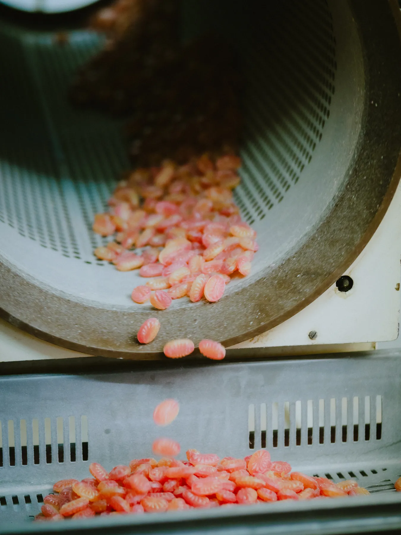 Bonbons purzeln aus der Trommel — handgefertigte Kräuterbonbons nach der Polierung
